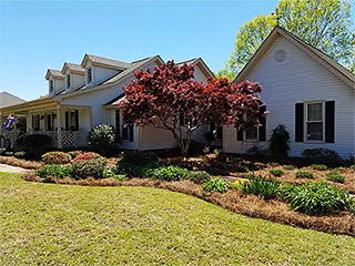 Landscape Design Macon, GA