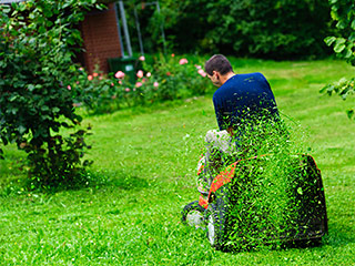 Landscape Maintenance Macon, GA